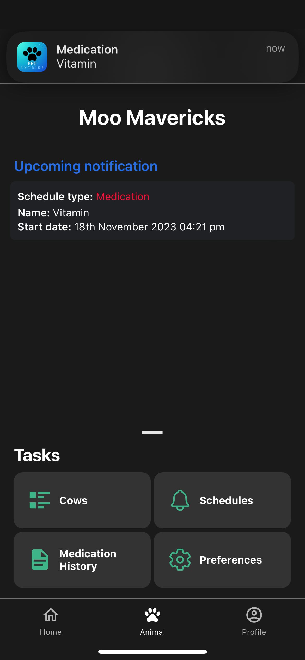 notification